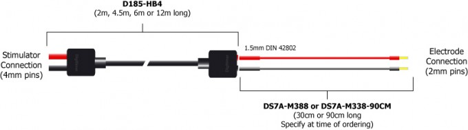 D185 HB4 with DS7A M3381 Digitimer