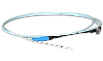 Equine Atrial Fibrillation Catheters Digitimer
