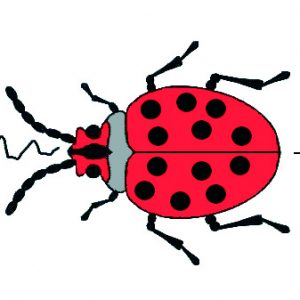 Hum Bug Logo