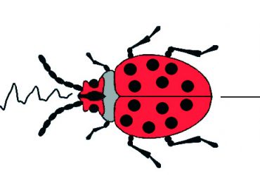 Hum Bug Logo
